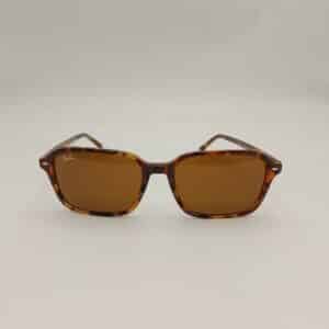 GAFAS DE SOL RAY BAN RB2231 RAIMOND