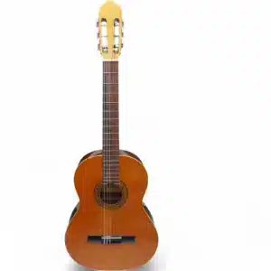GUITARRA CLASICA RAIMUNDO MODELO 112 +  FUNDA