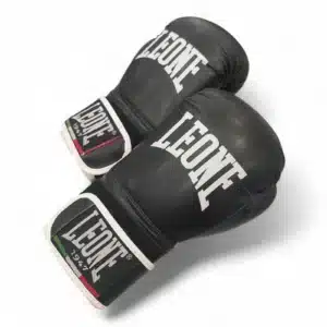 GUANTES DE BOXEO  LEONE FLASH 10 oz