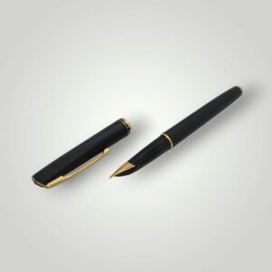 PLUMA WATERMAN 18K PUNTA