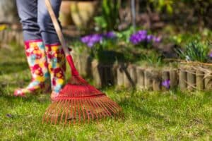 Herramientas para cuidar tu jardín | Real Cash