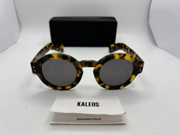 437150 1 GAFAS DE SOL KALEOS MARTIN 82222204 + FUNDA