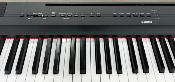 3852597 2 PIANO DIGITAL YAMAHA P-125 + CARGADOR + FUNDA YAMAHA