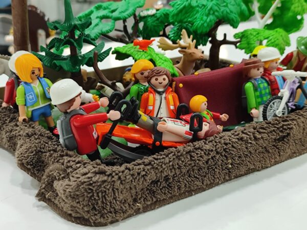 Imagen de WhatsApp 2024 08 29 a las 11.39.12 bf30cd0b CONJUNTO FIGURAS PLYMOBIL NATURALEZA, ANIMALES Y CICLISMO.