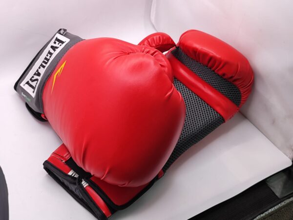 Imagen de WhatsApp 2024 09 11 a las 13.27.15 079d9505 GUANTES BOXEO EVERLAST 14OZ EVER FRESH ROJOS