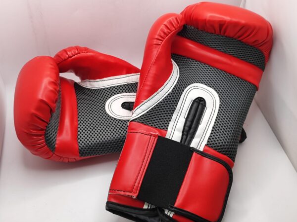 Imagen de WhatsApp 2024 09 11 a las 13.27.15 7ebe0583 GUANTES BOXEO EVERLAST 14OZ EVER FRESH ROJOS