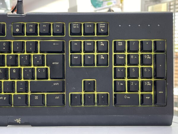 IMG 0240SAMU101024 74 scaled TECLADO RAZER CYNOSA CHROMA