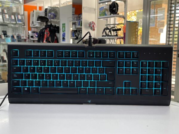 IMG 0240SAMU101024 75 scaled TECLADO RAZER CYNOSA CHROMA