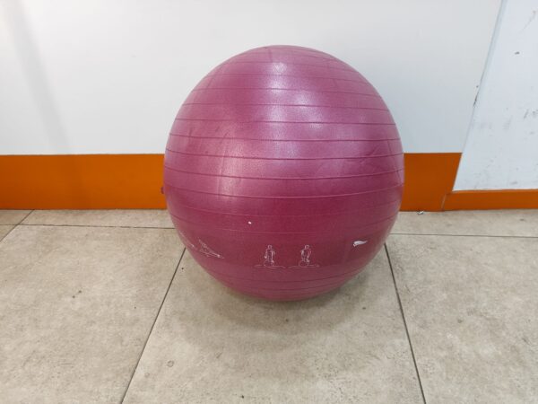 Imagen de WhatsApp 2024 10 21 a las 20.10.12 e3e1fd5a PELOTA CRIVIT DE GIMNASIA ROSA + ACC +CAJA