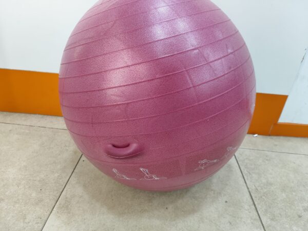 Imagen de WhatsApp 2024 10 21 a las 20.10.12 fc9921b1 PELOTA CRIVIT DE GIMNASIA ROSA + ACC +CAJA