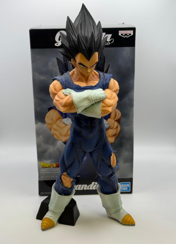 15 U507857 3 scaled FIGURA VEGETA BASE + CAJA