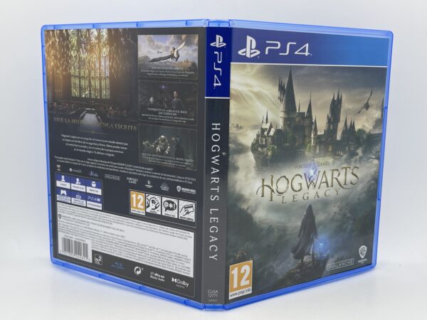 IMG 3471SAMU141124 67 scaled VIDEOJUEGO PS4 HOGWARTS LEGACY