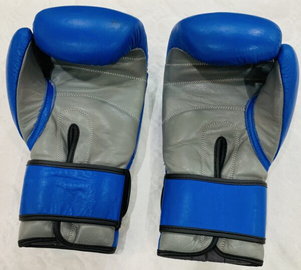 515608 4 scaled GUANTES DE BOXEO MOLU BOXING 16OZ + FUNDA