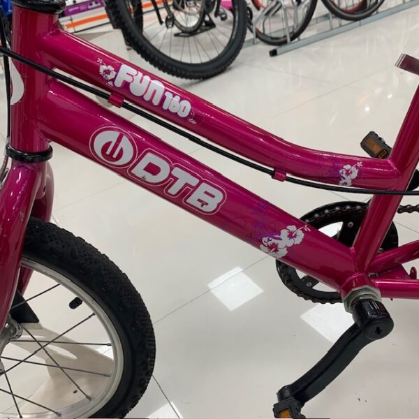 494164 4 BICICLETA INFANTIL DTB FUN 160