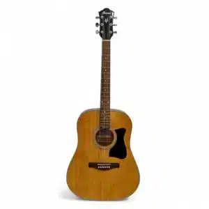 GUITARRA ACUSTICA IBANEZ V50NJP-NT 3U-09