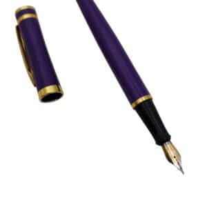 PLUMA WATERMAN PURPURA (PLUMIN REPARADO)