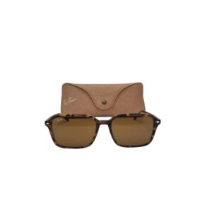 GAFAS DE SOL RAYBAN RAIMOND RB 2231 + FUNDA