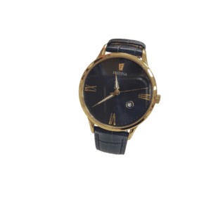 RELOJ FESTINA F16825