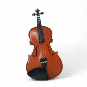 VIOLIN  E KREUTZER SCHOOL 4/4 + FUNDA
