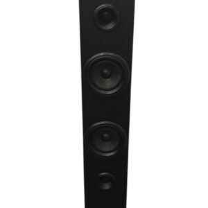 ALTAVOZ DE PIE NGS SKVWIZARD  + CARGADOR