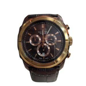 RELOJ CANDINO C4589/1