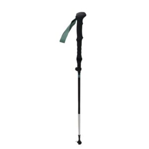 BASTON DE SENDERISMO FORCLAZ 900 NEGRO