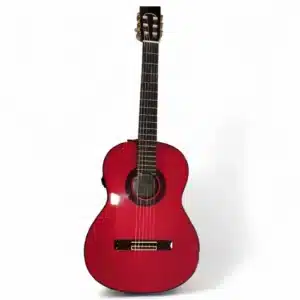 GUITARRA FLAMENCA ELECTROACUSTICA VICENTE TATAY TOMAS C320.580
