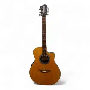 GUITARRA ELECTROACUSTICA FERNANDES FAA-500E