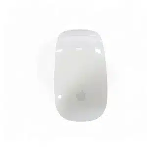 RATON MAGIC MOUSE A1296